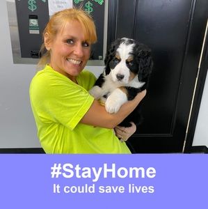 Meet your Posher, Samantha